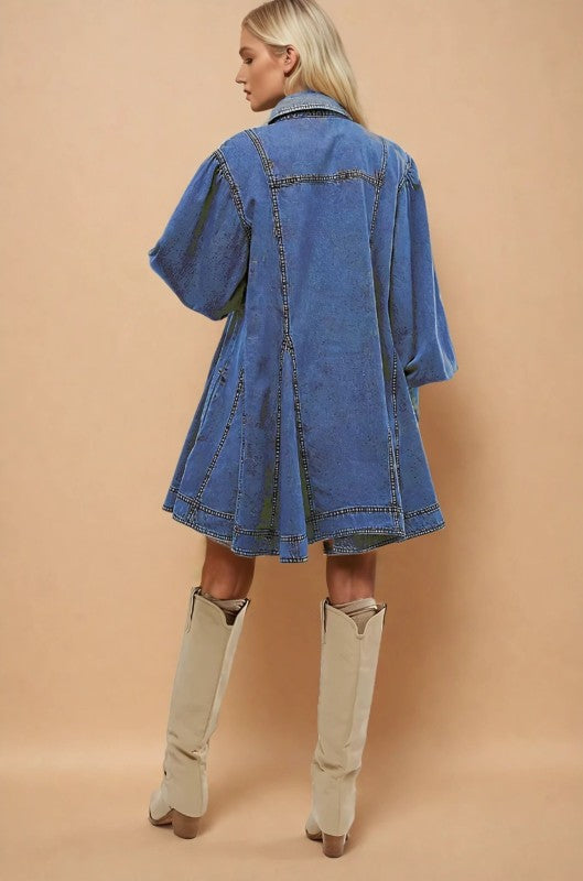 Dania Denim Dress