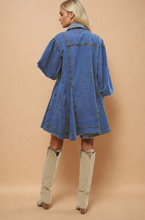 Dania Denim Dress