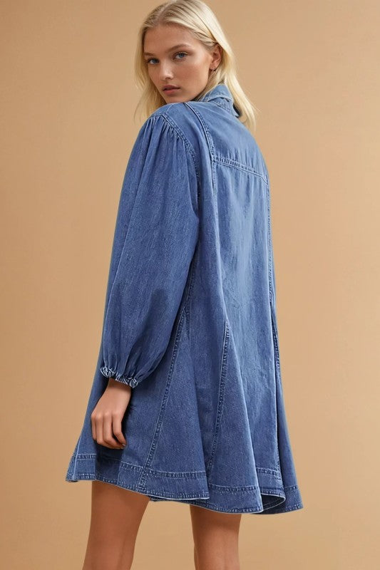 Dania Denim Dress