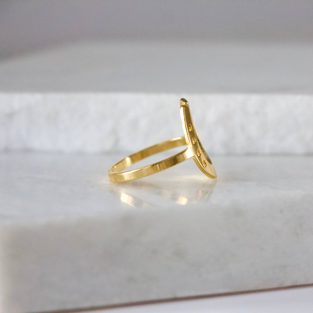 Lucky Horseshoe Ring -  Waterproof
