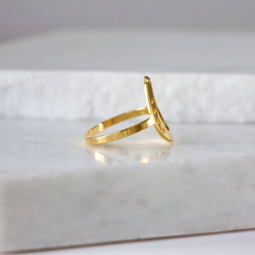 Lucky Horseshoe Ring -  Waterproof
