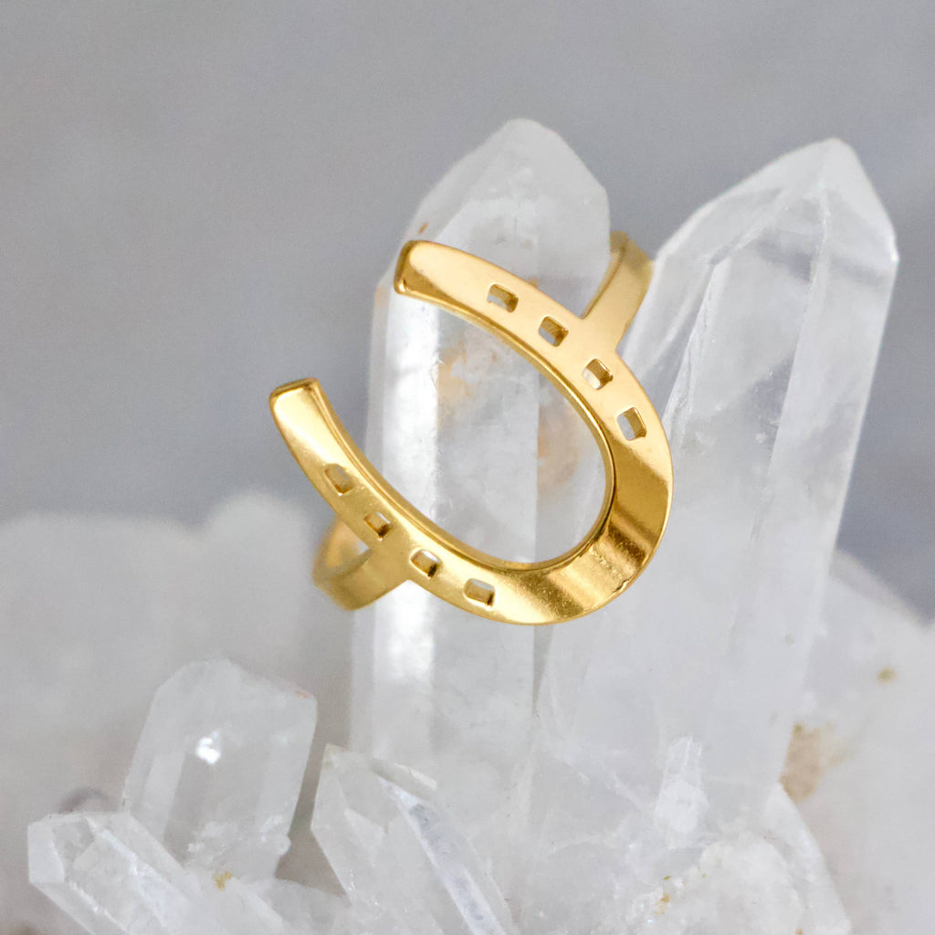 Lucky Horseshoe Ring -  Waterproof