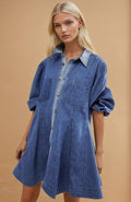 Dania Denim Dress